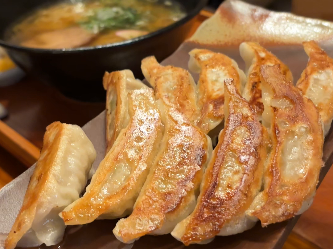 撮影時の皿に並んだ焼き餃子